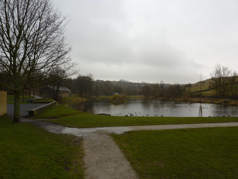 Ball Grove